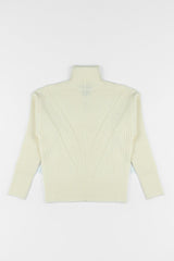 Chunky Ribbed Turtleneck Sweater