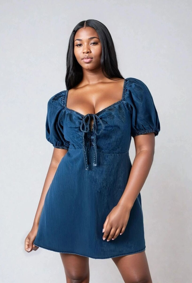 Plus Size Denim Mini Dress