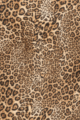 Satin Leopard Print Shirt