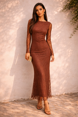 Semi-Sheer Lace Bodycon Maxi Dress