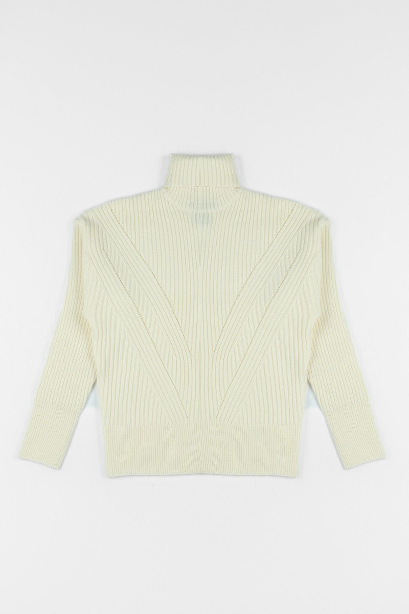Chunky Ribbed Turtleneck Sweater