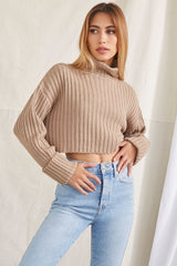 Turtleneck Cropped Sweater