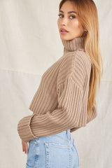 Turtleneck Cropped Sweater
