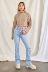 Turtleneck Cropped Sweater
