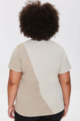 Plus Size Colorblock Eagle Graphic Tee