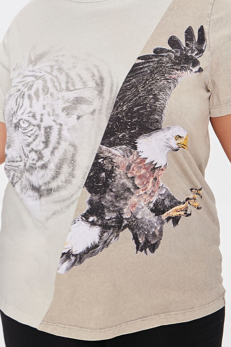 Plus Size Colorblock Eagle Graphic Tee