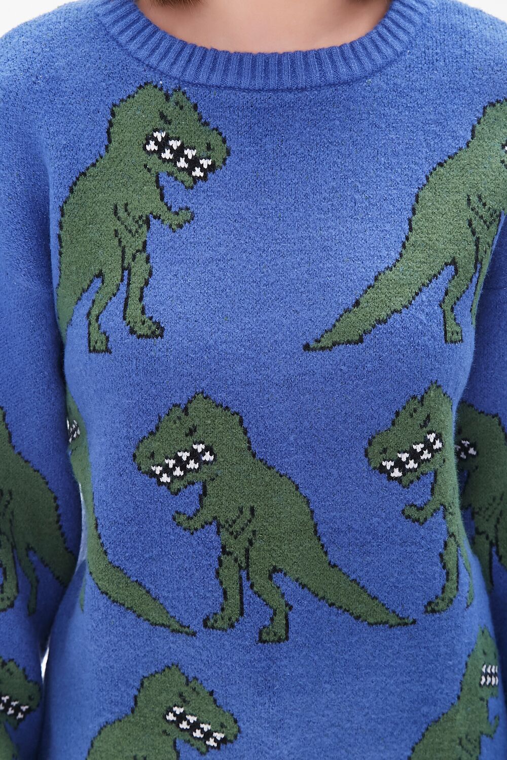 T-Rex Print Sweater
