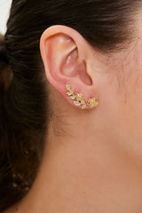 Rose Ear Climbers
