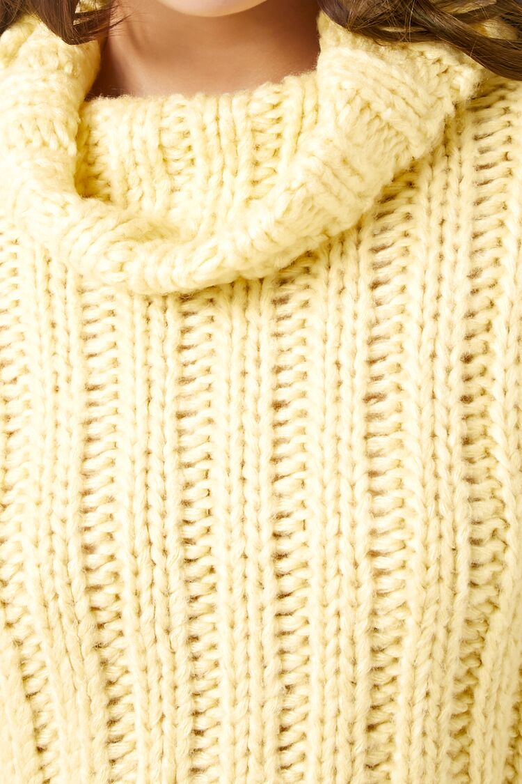 Turtleneck Cropped Sweater