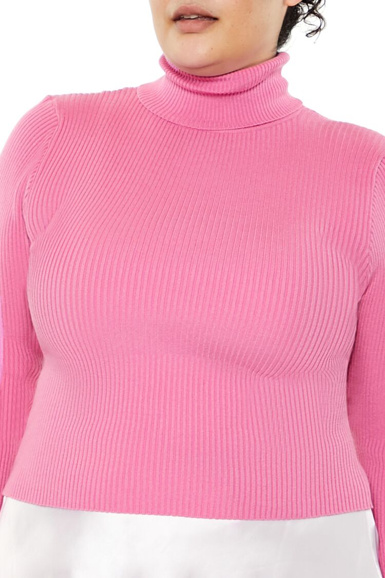 Plus Size Ribbed Turtleneck Sweater