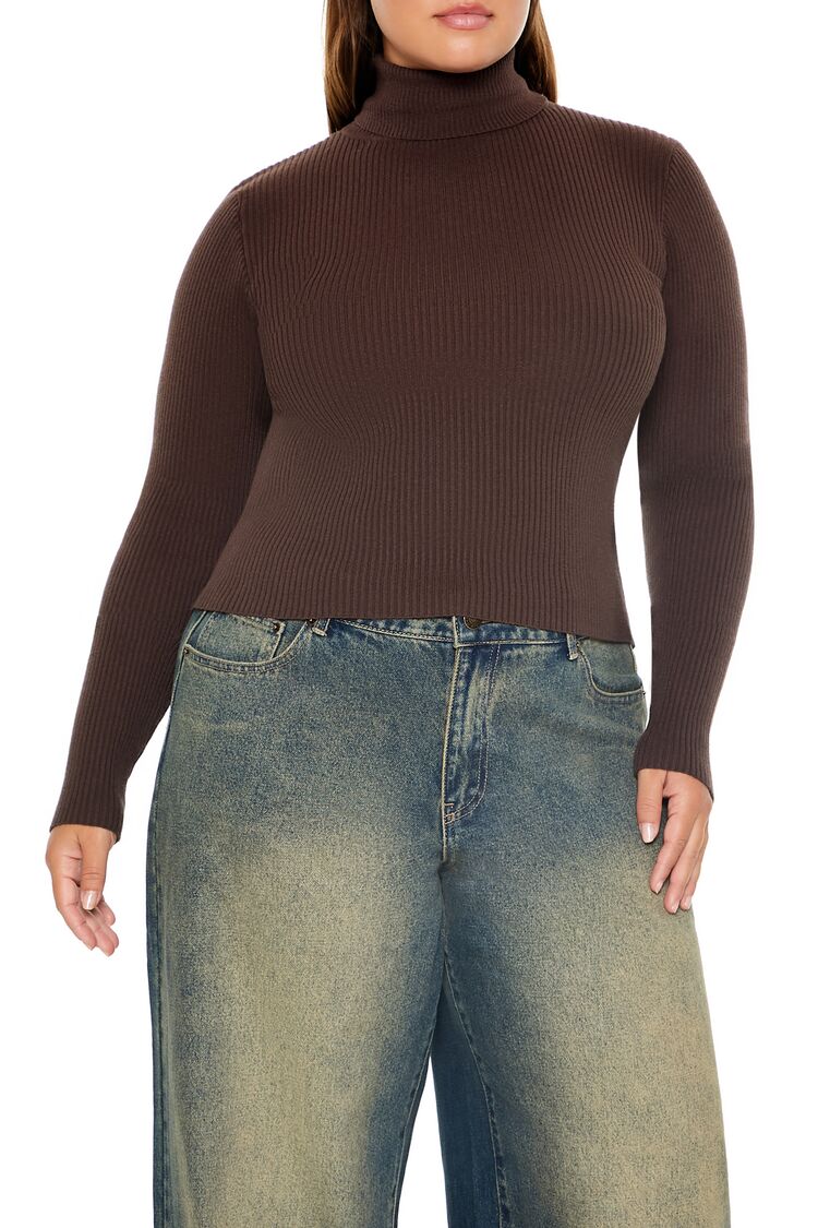 Plus Size Ribbed Turtleneck Sweater