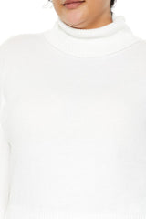 Plus Size Turtleneck Sweater