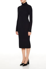 Turtleneck Midi Sweater Dress