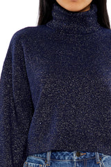 Glitter Knit Turtleneck Sweater