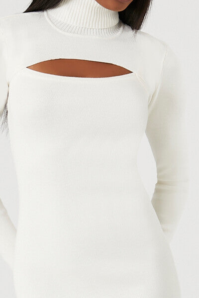 Turtleneck Combo Sweater Dress