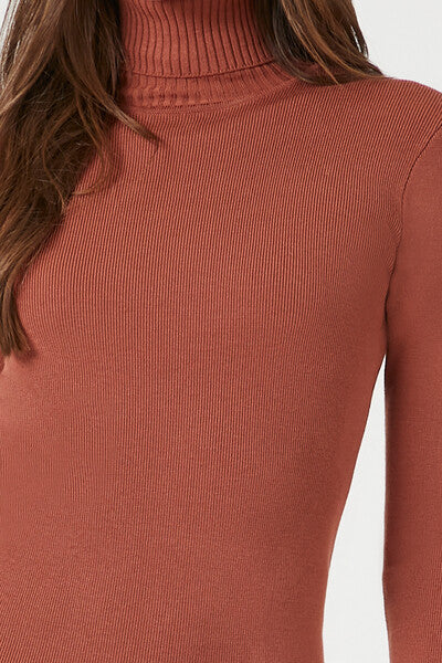 Turtleneck Midi Sweater Dress