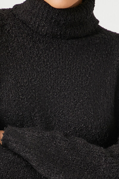 Turtleneck Mini Sweater Dress