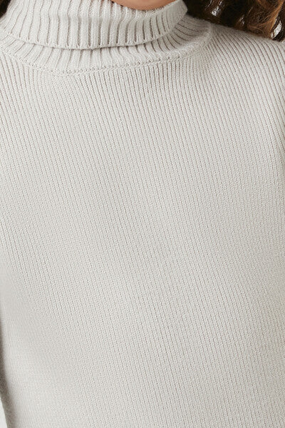 Girls Turtleneck Sweater Dress (Kids)