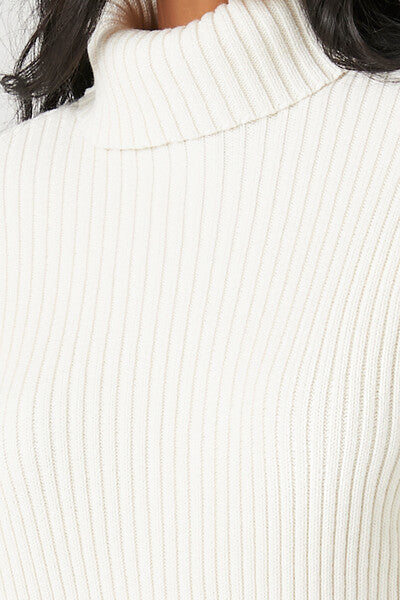 Ribbed Knit Turtleneck Sweater