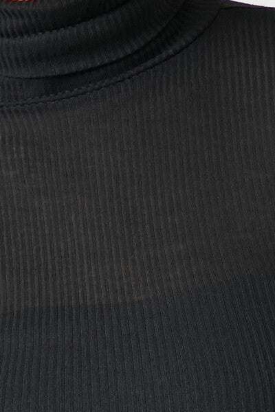 Sheer Ribbed Knit Turtleneck Top