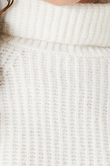 Ribbed Turtleneck Sweater
