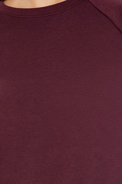 Fleece Raglan Pullover